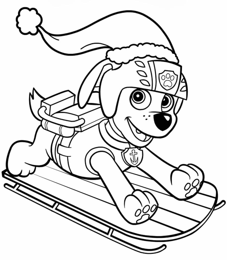 Paw Patrol Ausmalbilder 346