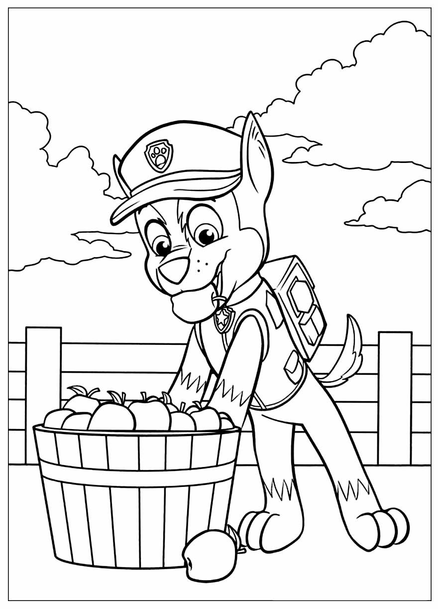 Paw Patrol Ausmalbilder 586
