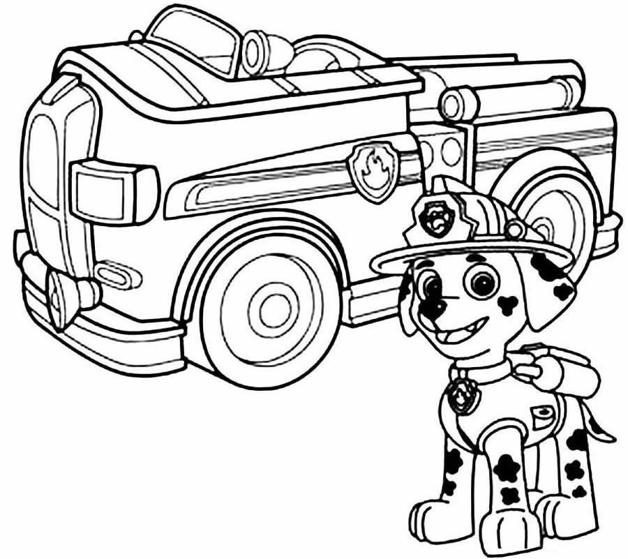 Paw Patrol Ausmalbilder 797