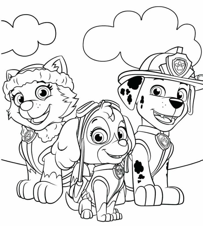 Paw Patrol Ausmalbilder 814