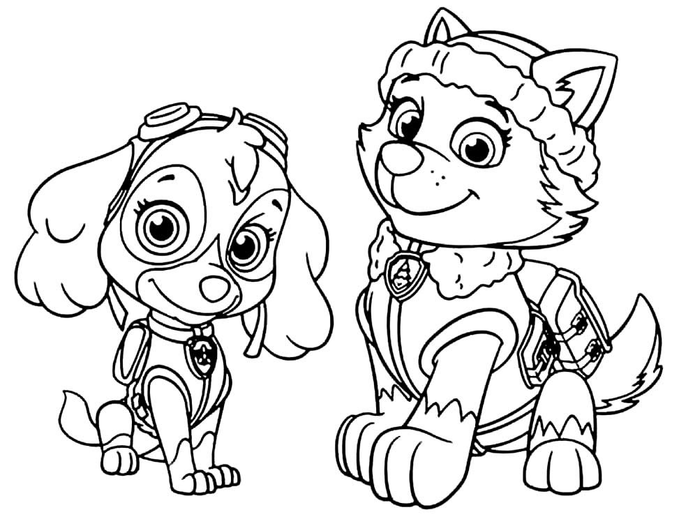 Paw Patrol Ausmalbilder 852