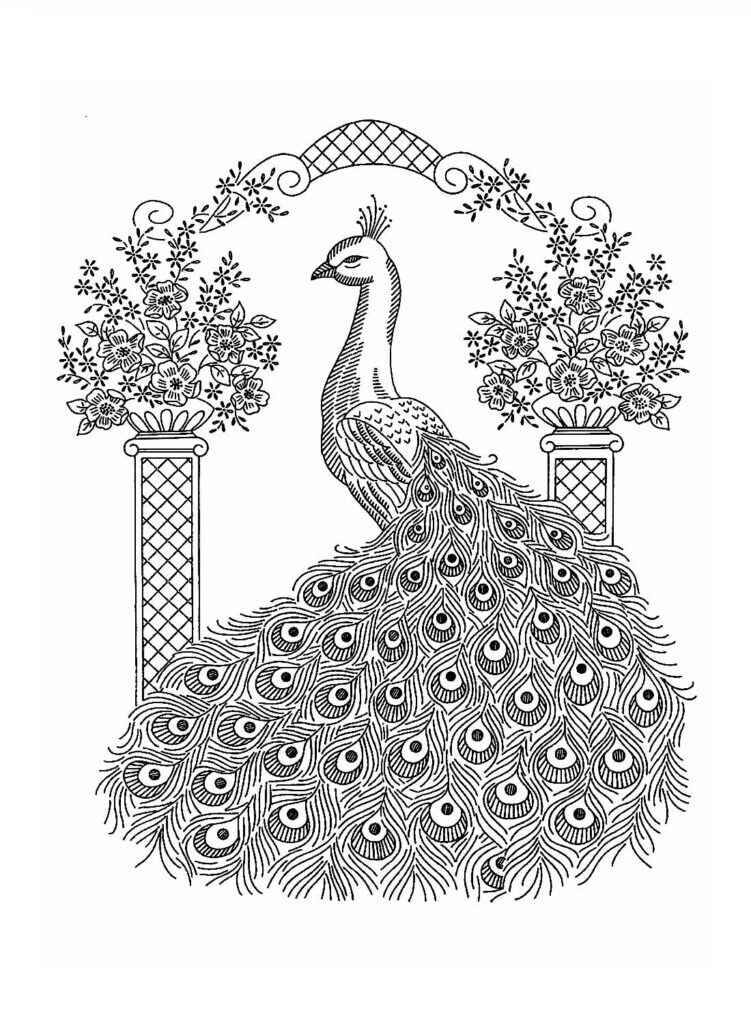 Pfau Ausmalbilder 096