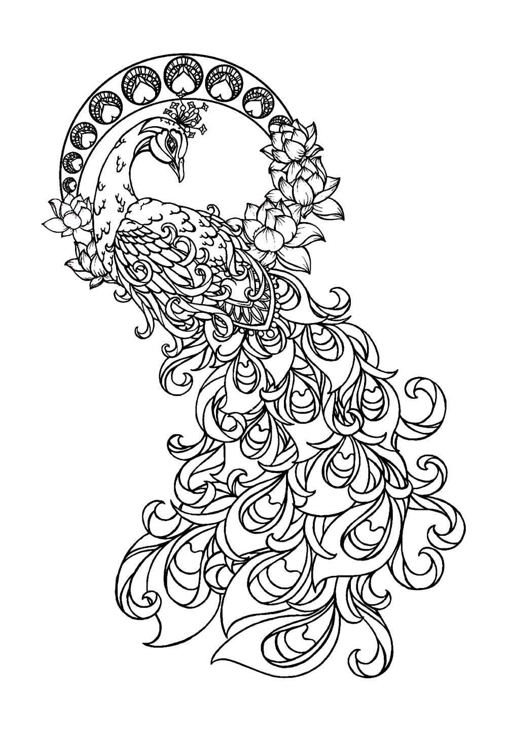 Pfau Ausmalbilder 160