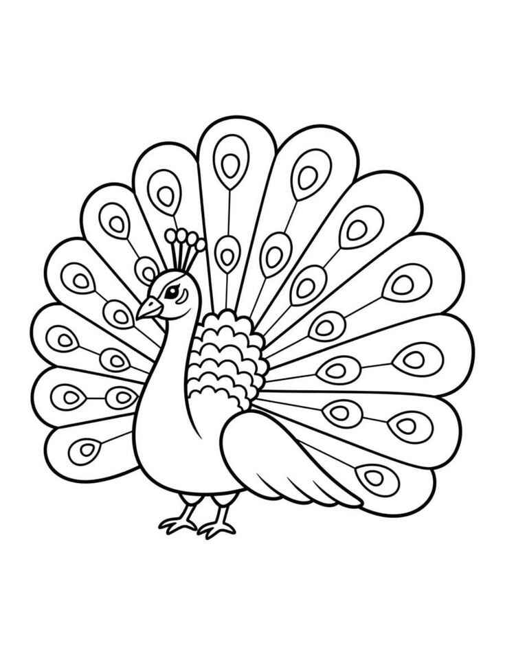 Pfau Ausmalbilder 203