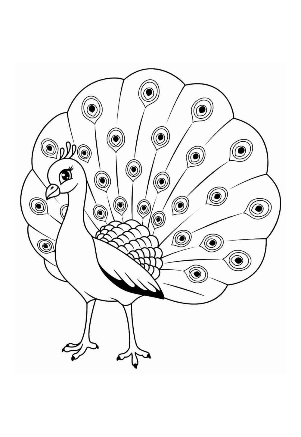 Pfau Ausmalbilder 335