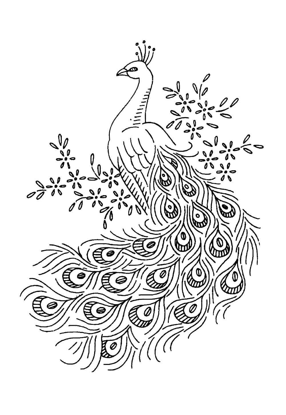 Pfau Ausmalbilder 899