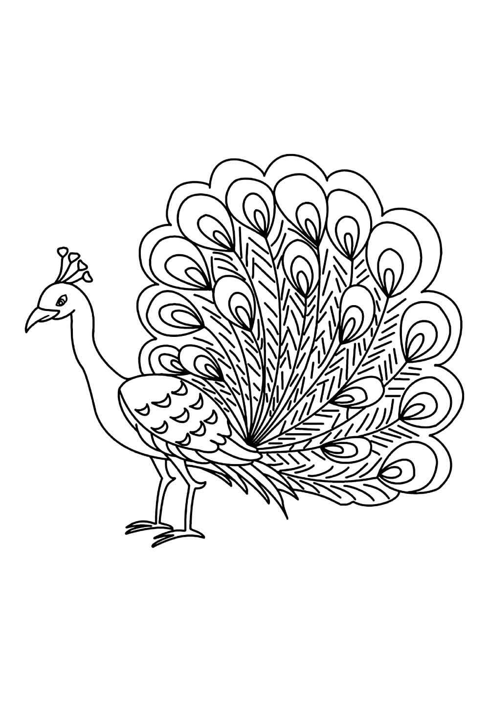 Pfau Ausmalbilder 987