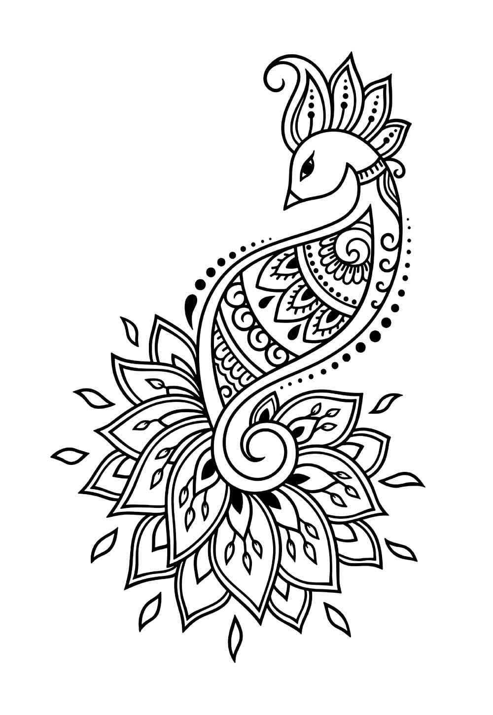 Pfau Ausmalbilder 993