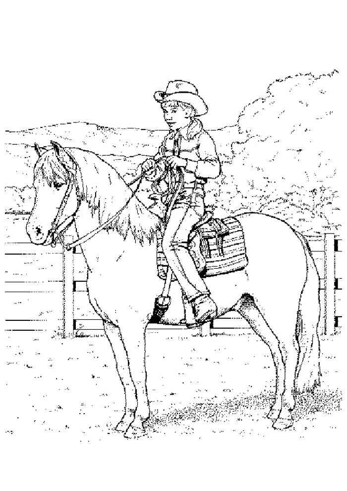 Pferde Ausmalbilder 455