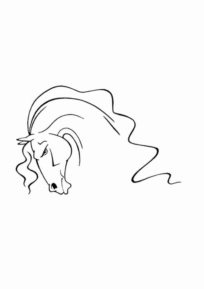 Pferde Ausmalbilder 721