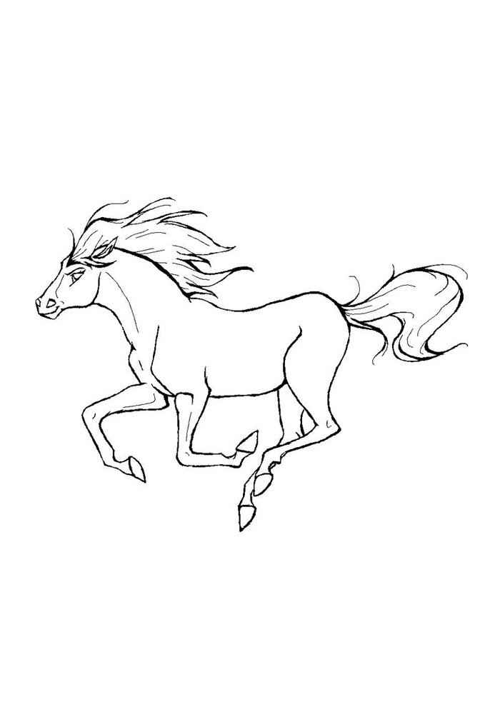 Pferde Ausmalbilder 861