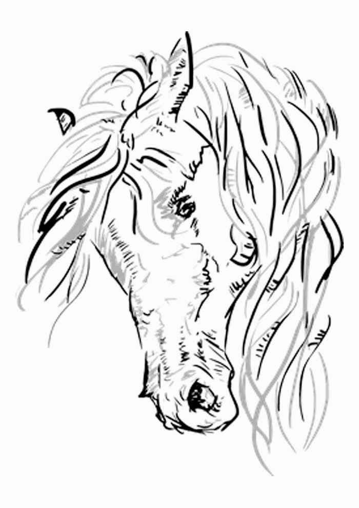 Pferde Ausmalbilder 878