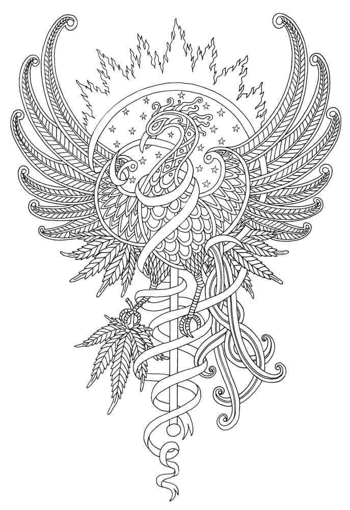 Phoenix Ausmalbilder 488