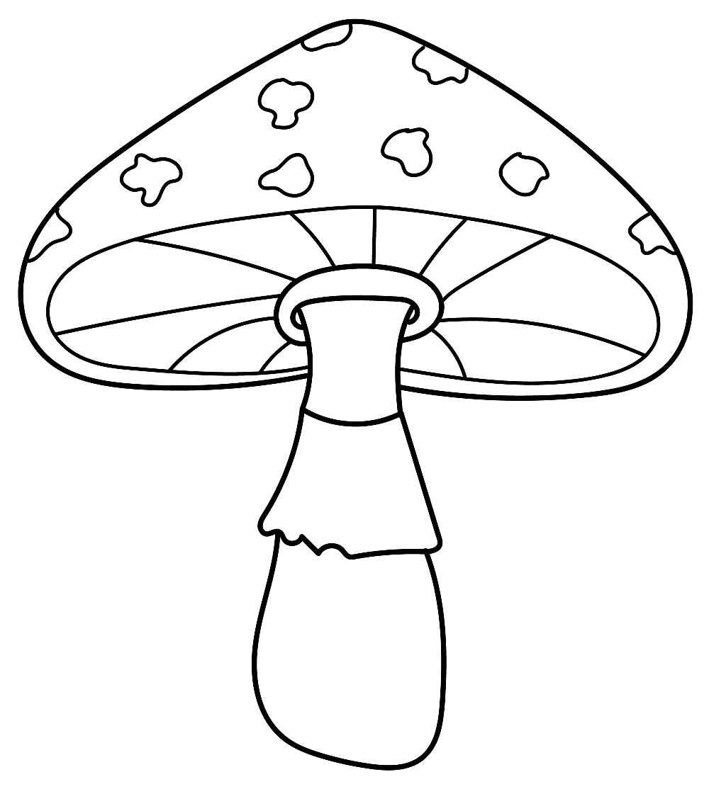 Pilz Ausmalbilder 232