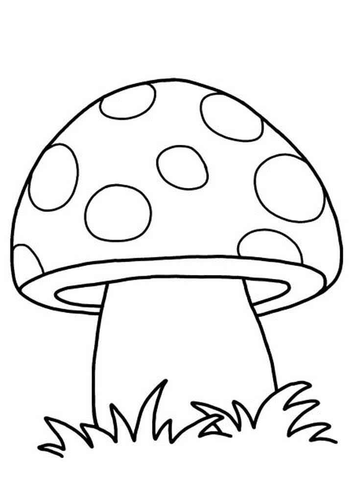 Pilz Ausmalbilder 542
