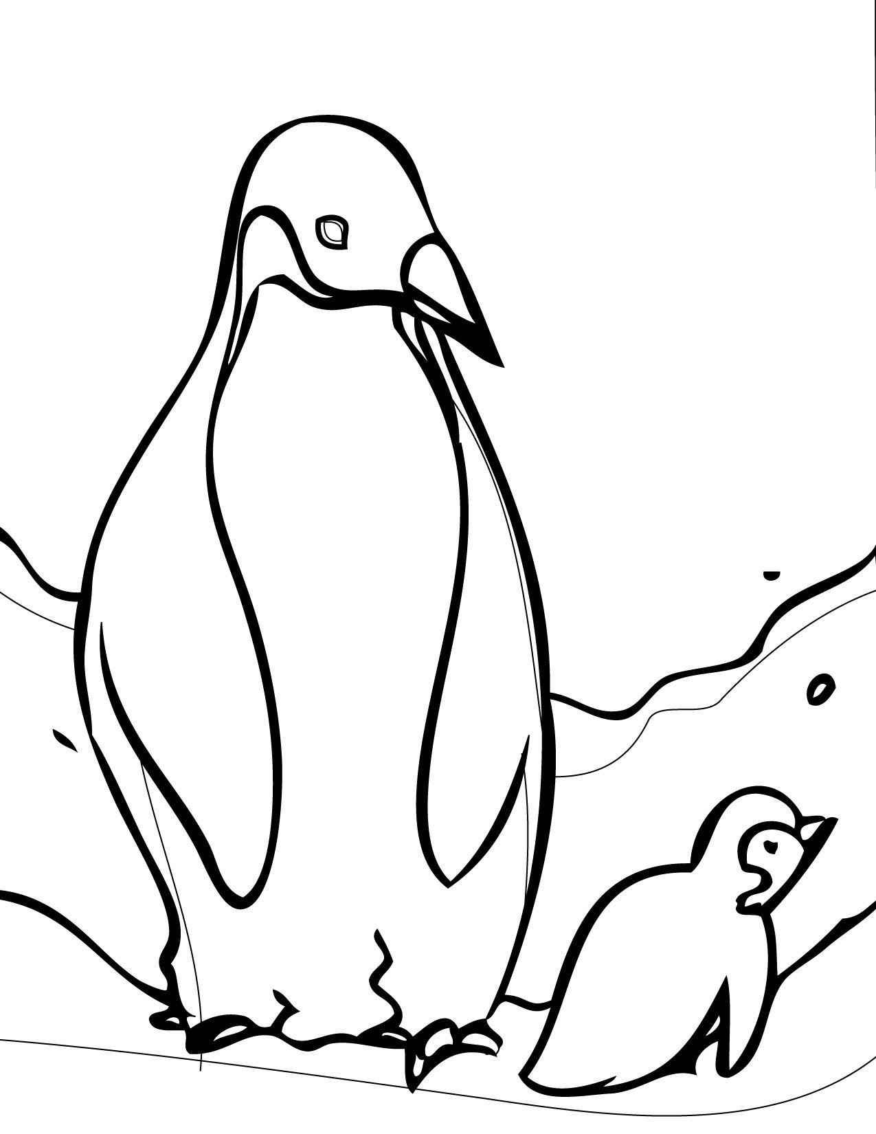 Pinguine Ausmalbilder 626