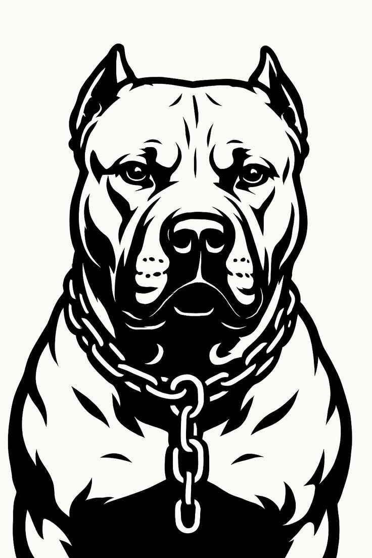 Pitbull Ausmalbilder 801