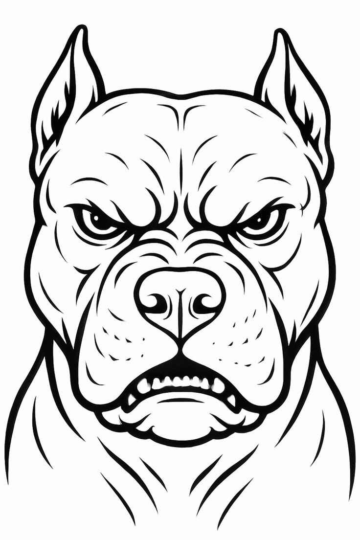 Pitbull Ausmalbilder 808