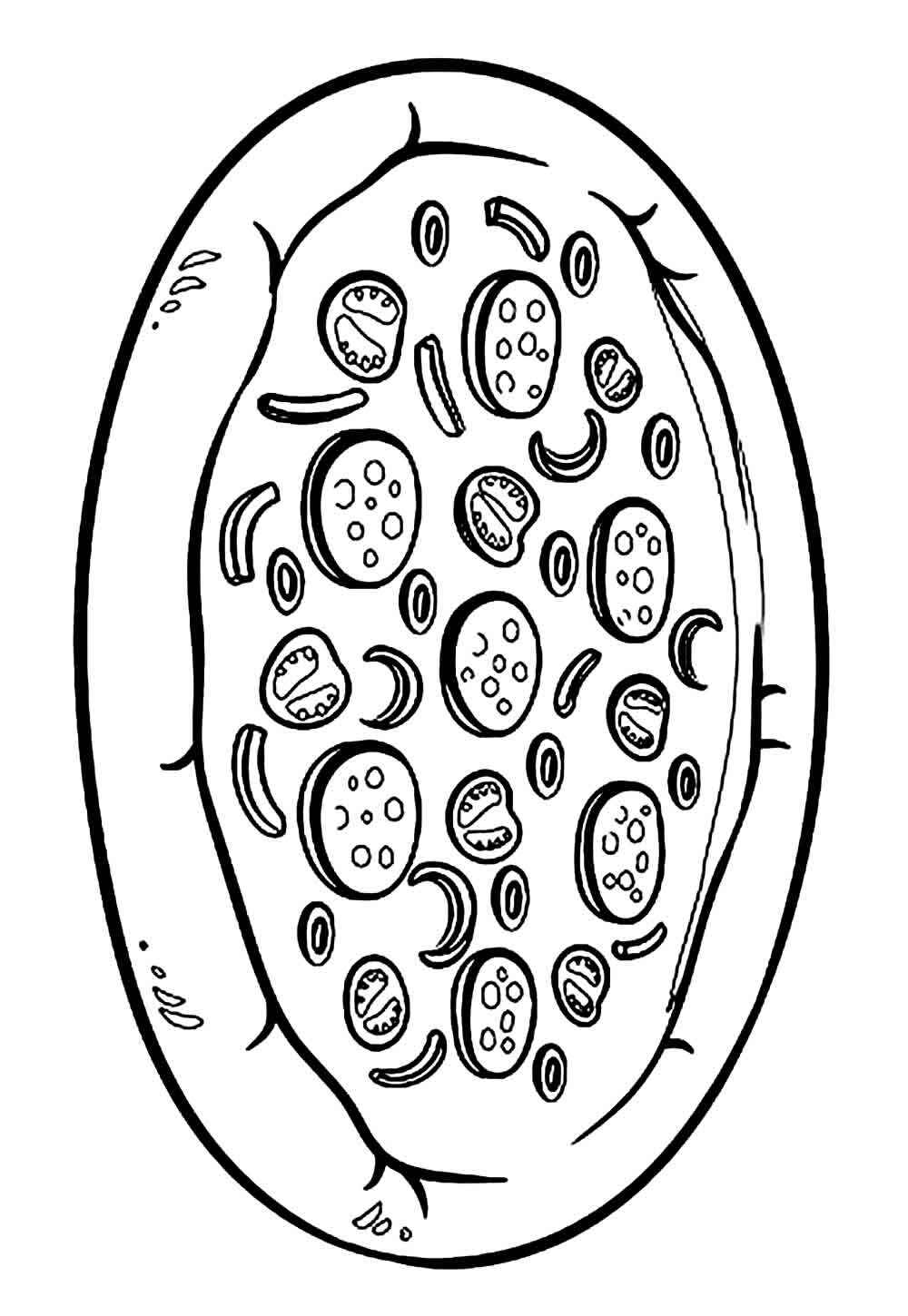 Pizza Ausmalbilder 693