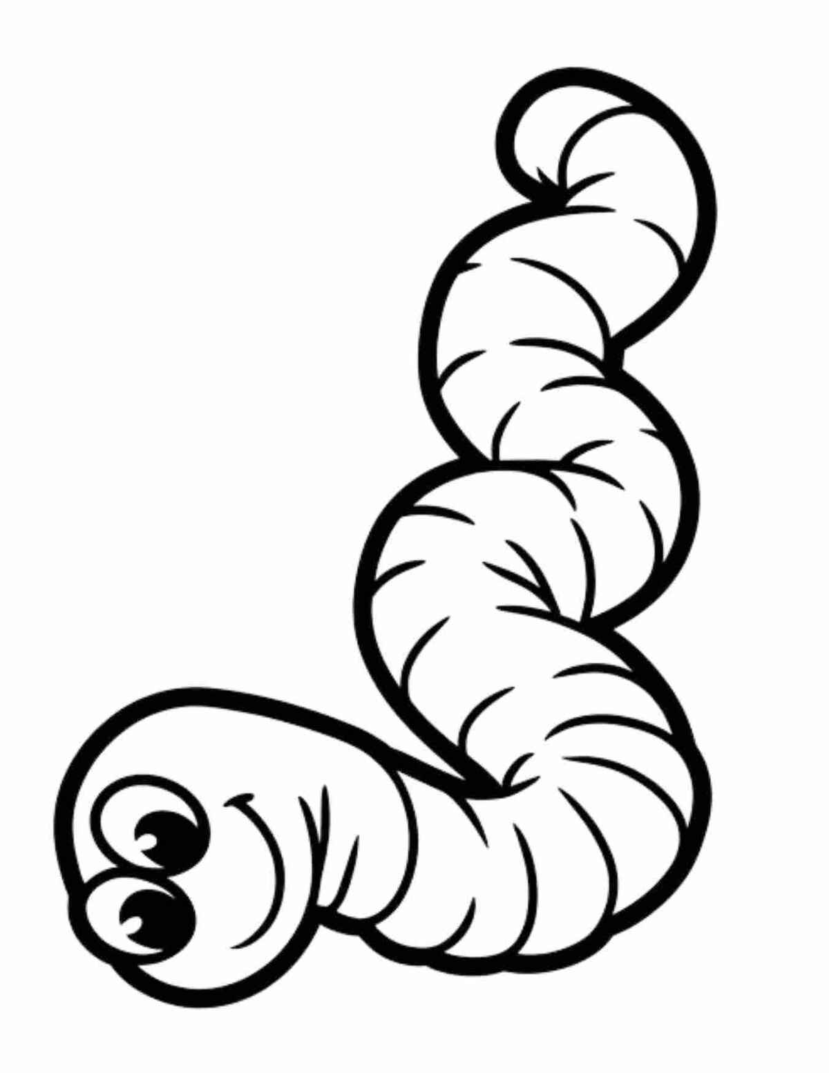 Regenwurm Ausmalbilder 295