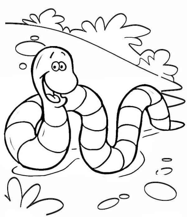 Regenwurm Ausmalbilder 298