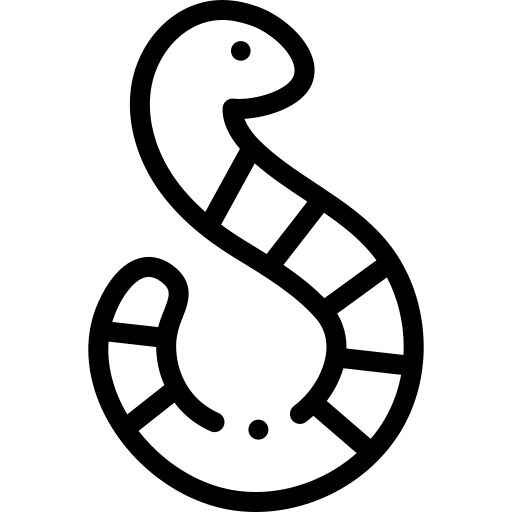 Regenwurm Ausmalbilder 961