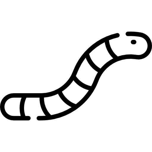 Regenwurm Ausmalbilder 970