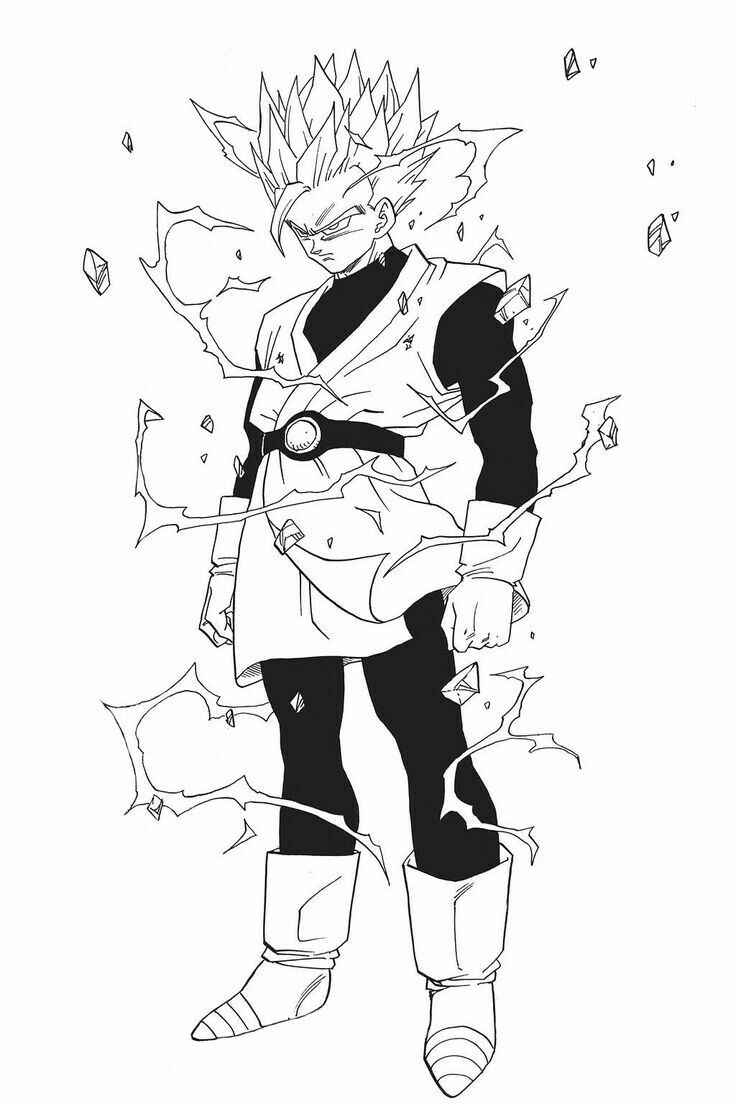 Reis Ausmalbilder 736