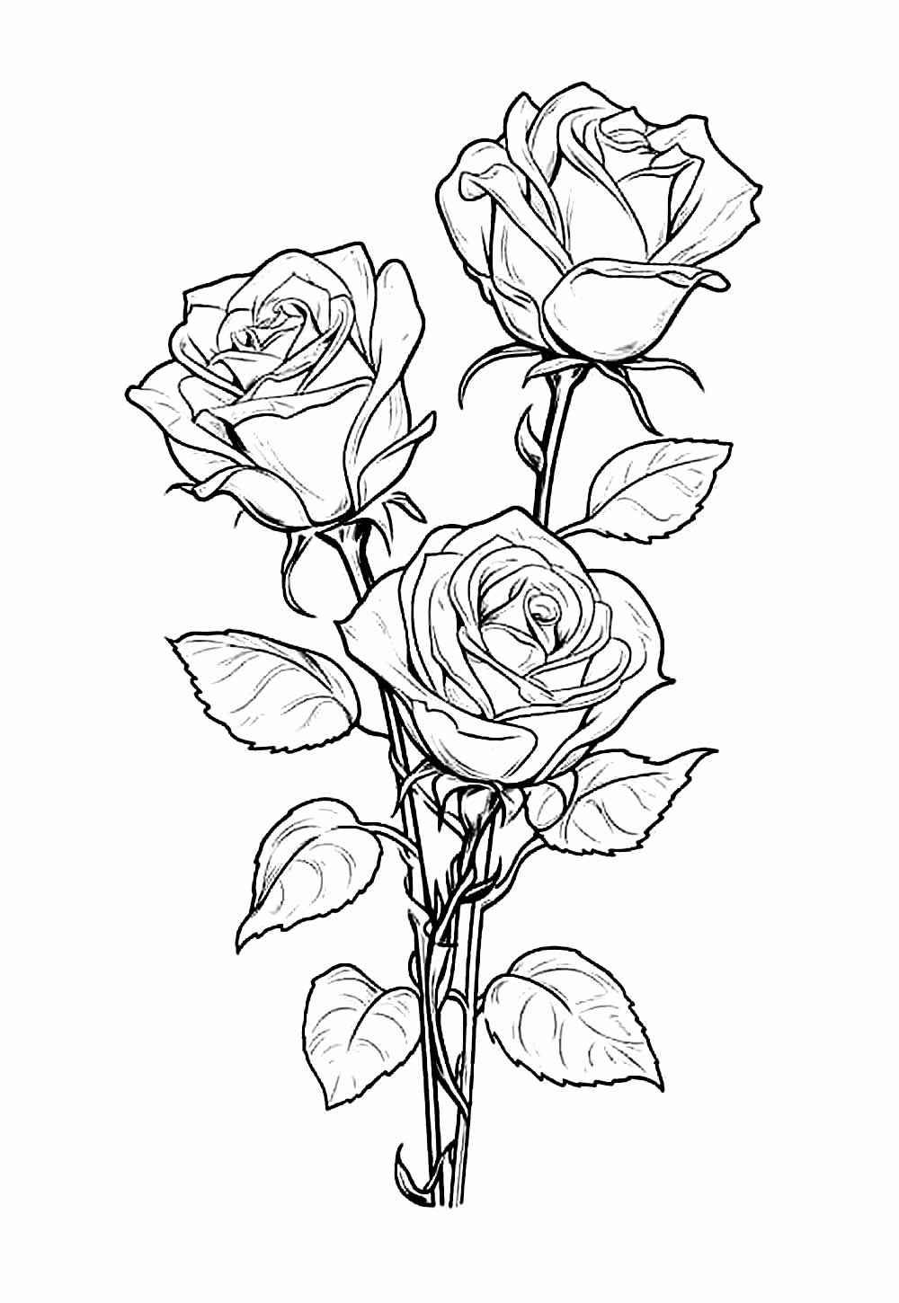 Rosen Ausmalbilder 002