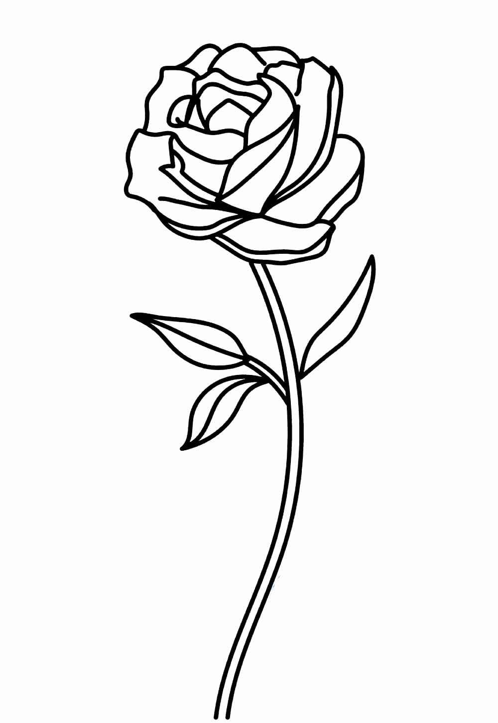 Rosen Ausmalbilder 023