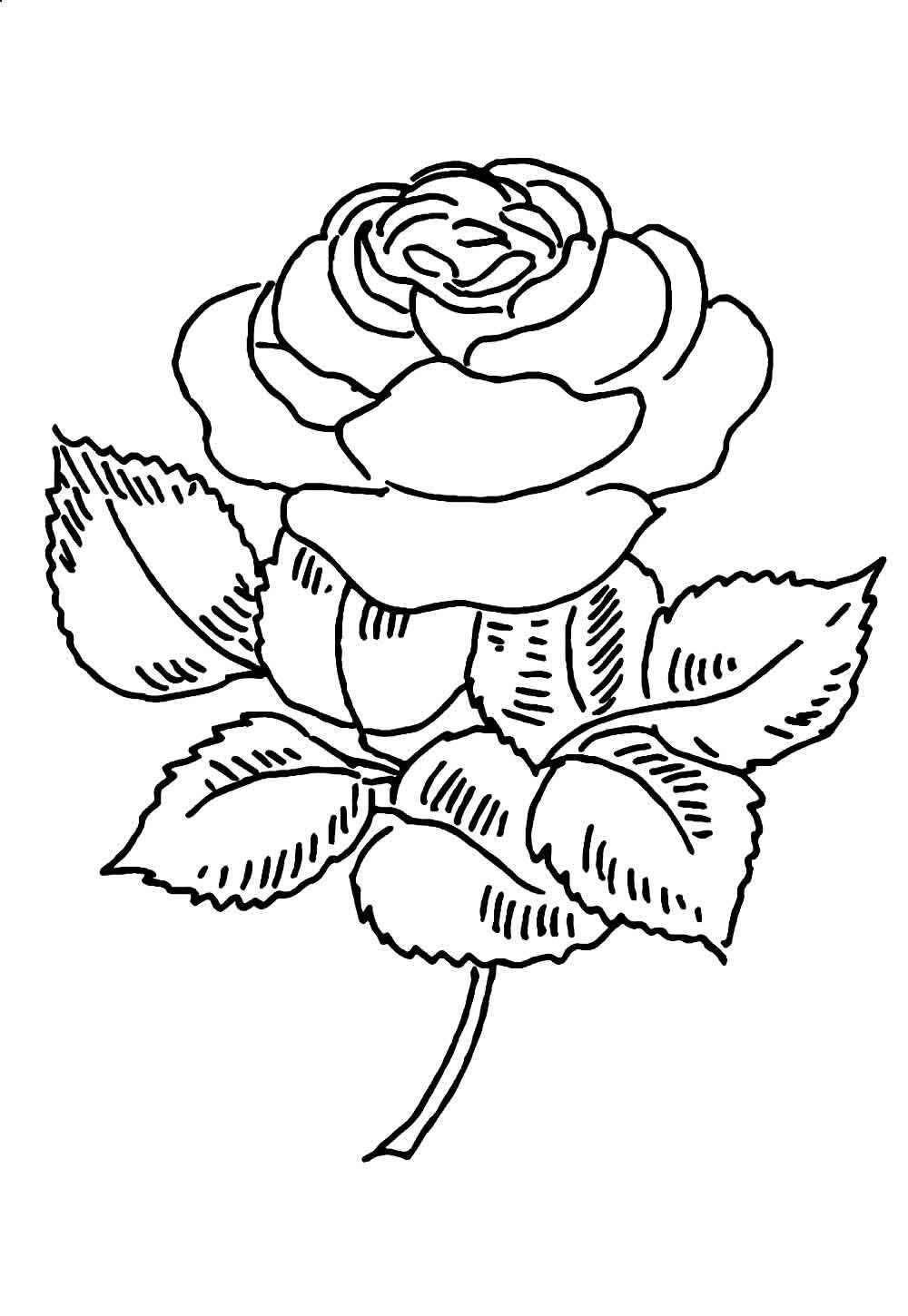 Rosen Ausmalbilder 401