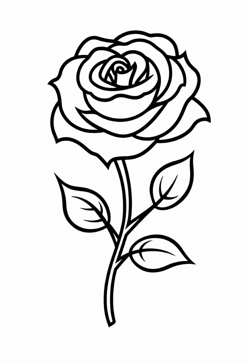 Rosen Ausmalbilder 518