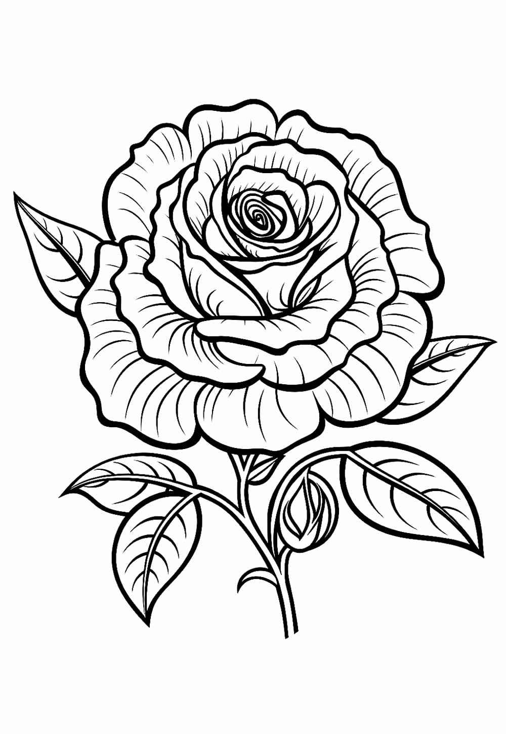 Rosen Ausmalbilder 616