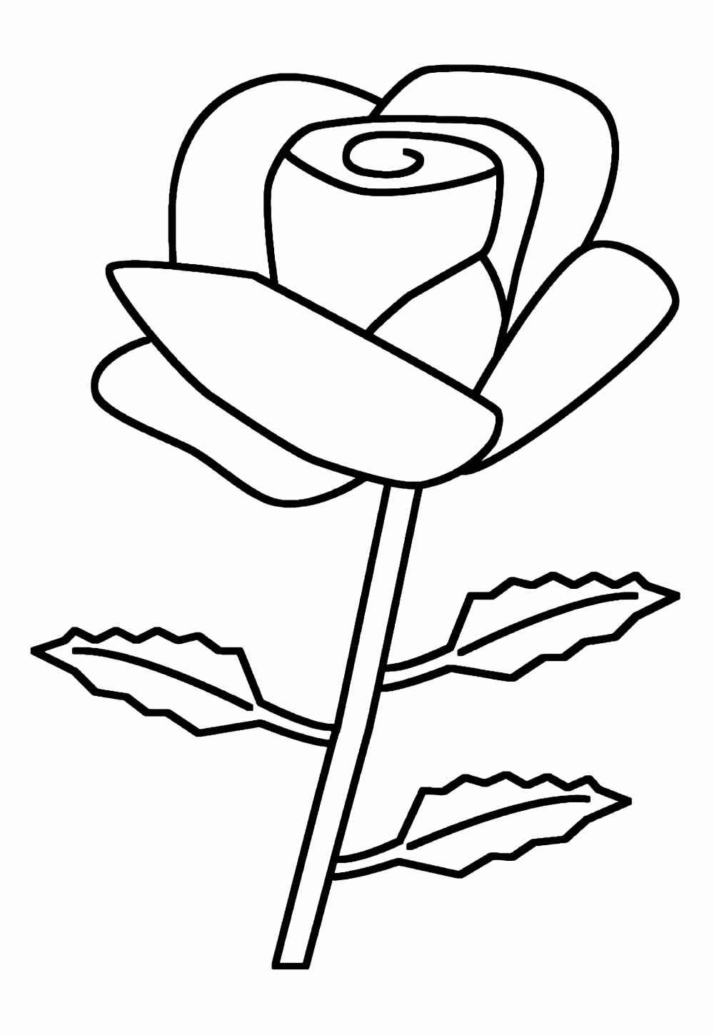 Rosen Ausmalbilder 973