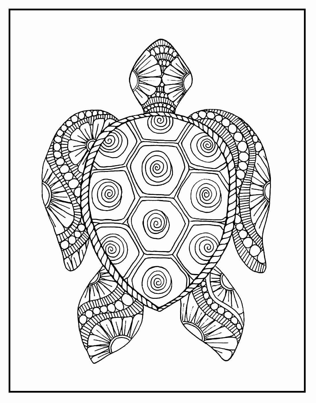 Schildkröten Ausmalbilder 014