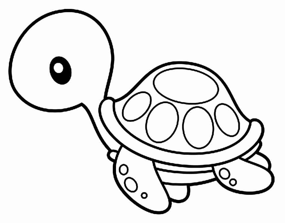 Schildkröten Ausmalbilder 114