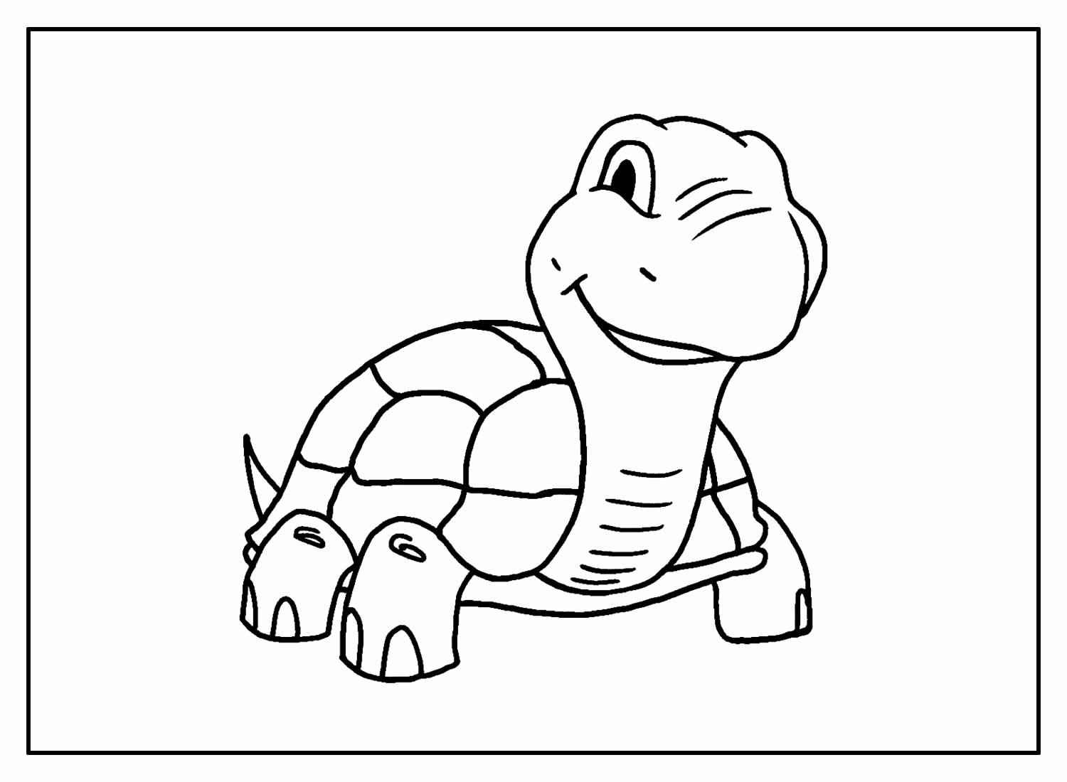 Schildkröten Ausmalbilder 182