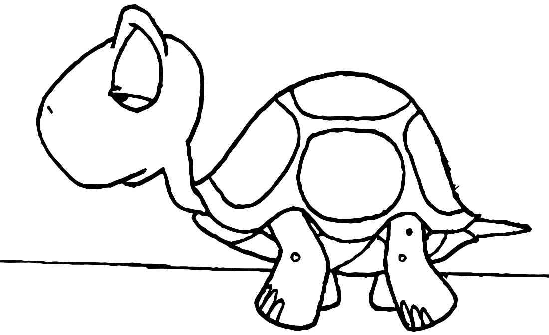 Schildkröten Ausmalbilder 202