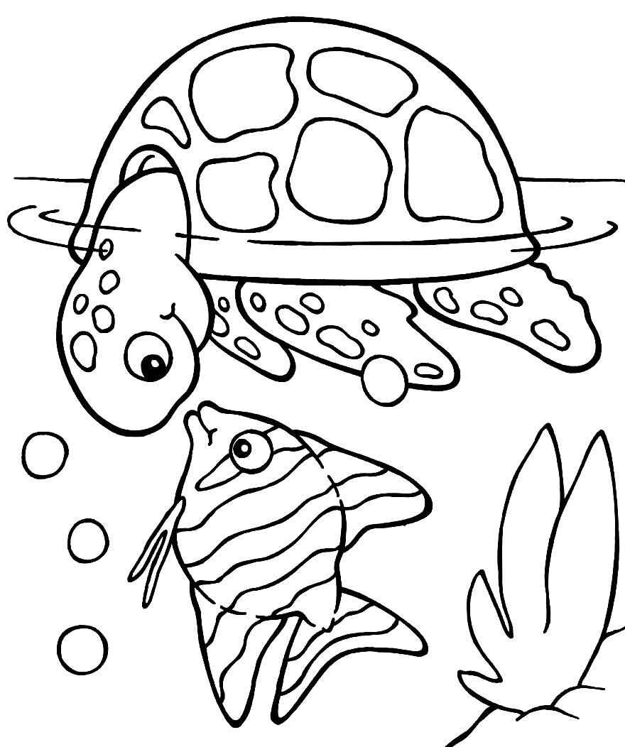 Schildkröten Ausmalbilder 427