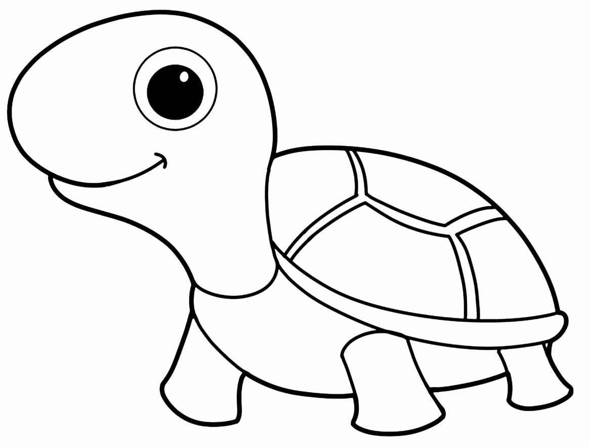 Schildkröten Ausmalbilder 657