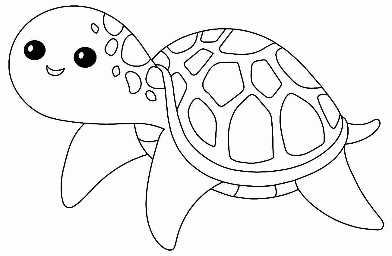 Schildkröten Ausmalbilder 693