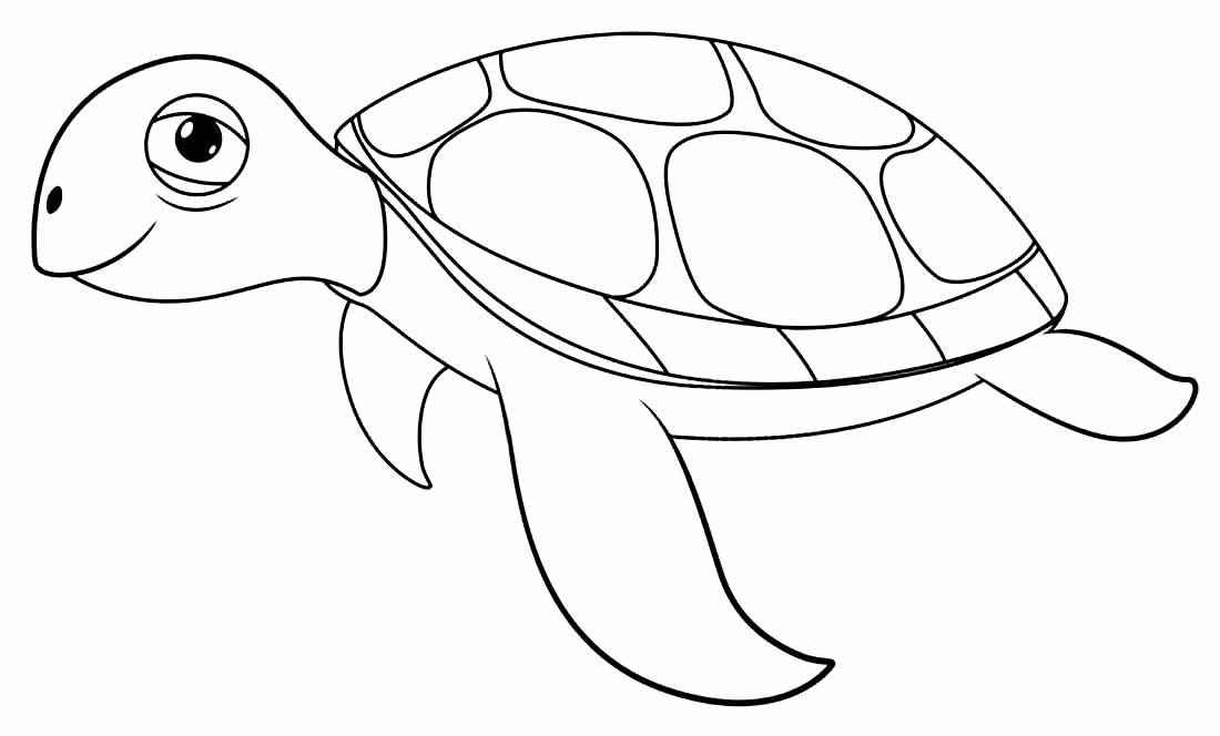 Schildkröten Ausmalbilder 841