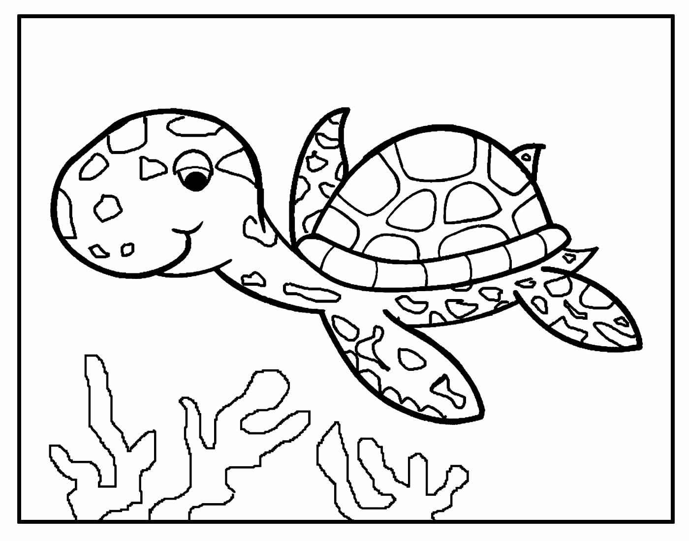 Schildkröten Ausmalbilder 926