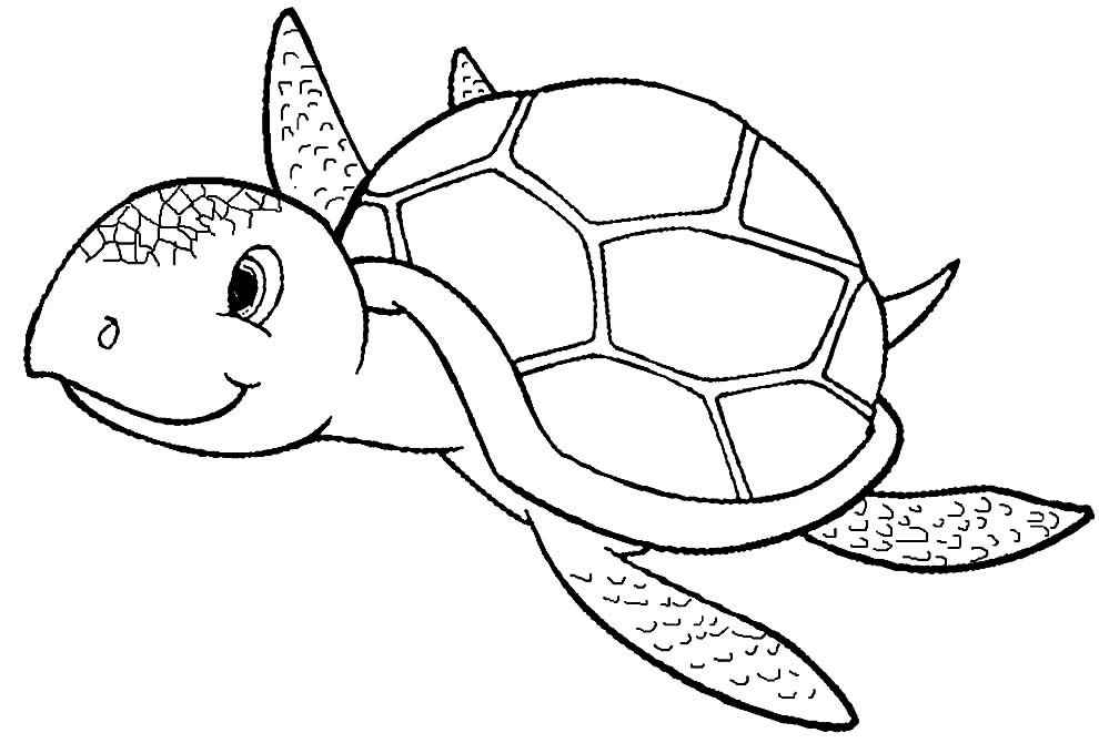 Schildkröten Ausmalbilder 977