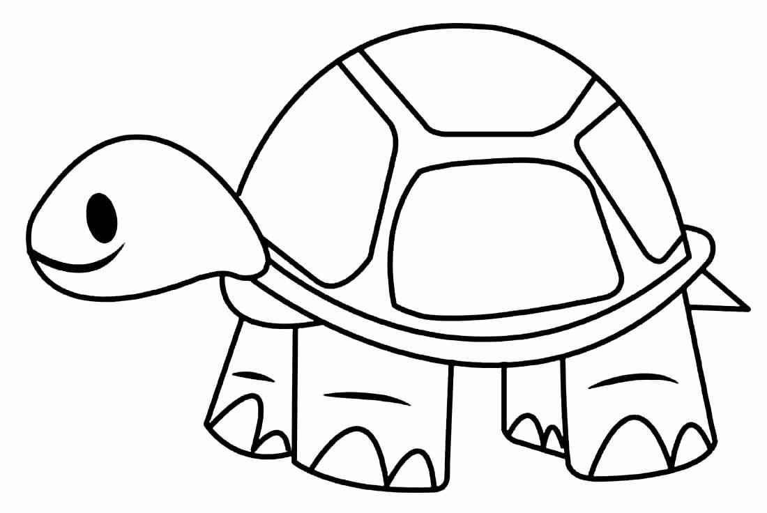 Schildkröten Ausmalbilder 978