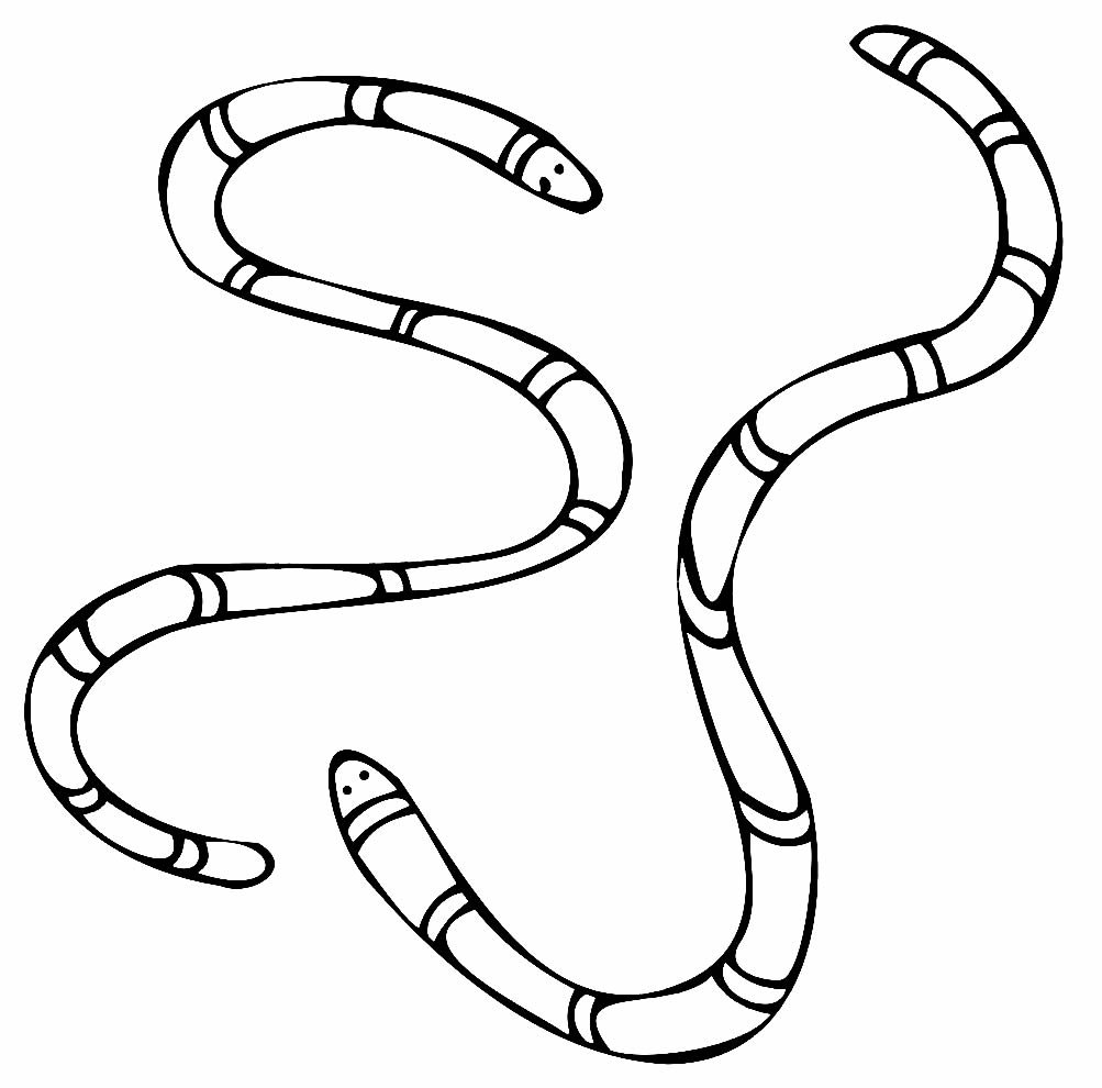 Schlangen Ausmalbilder 045