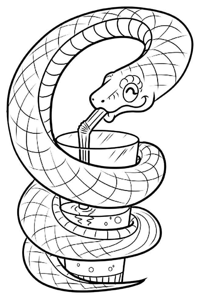 Schlangen Ausmalbilder 479