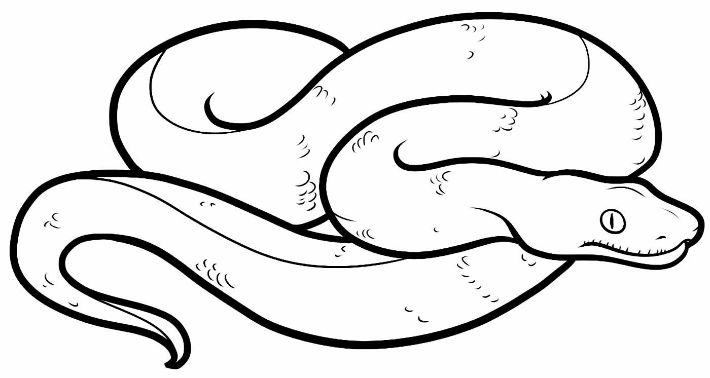 Schlangen Ausmalbilder 546