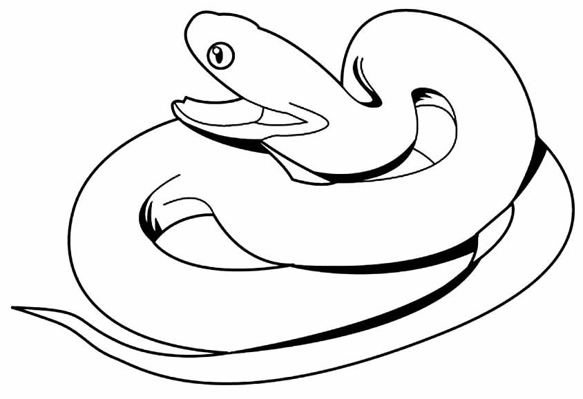 Schlangen Ausmalbilder 605