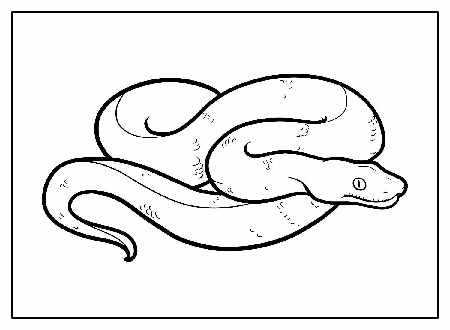 Schlangen Ausmalbilder 636
